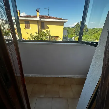 Anika